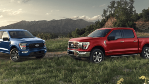 Blue and red 2023 Ford F-150 full-size pickup truck model parked in a field of grass near a mountain range