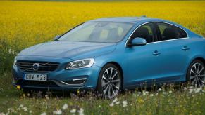 A blue 2014 Volvo S60 luxury sedan model parked in a field of grass amid yellow flowers