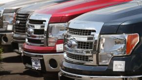 A group of 2014 Ford F-150 half-ton trucks are parked.