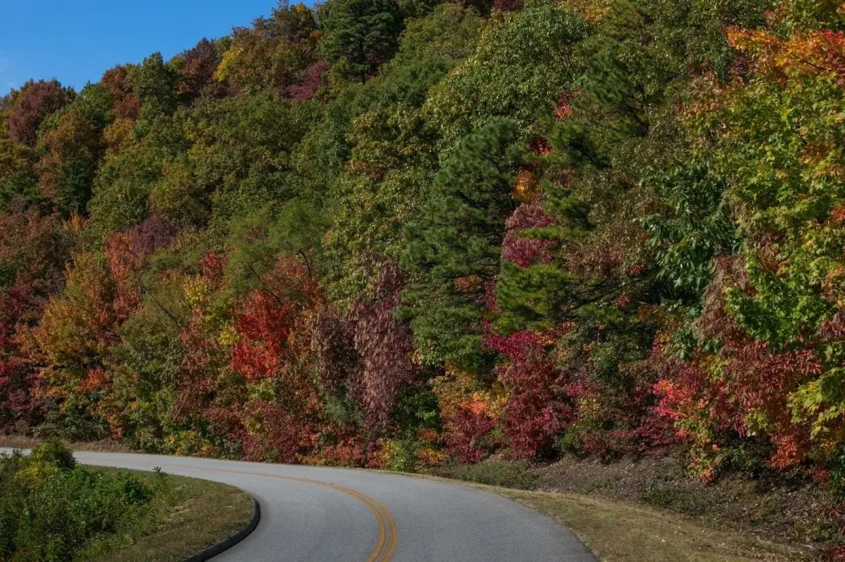 3 of the Best Driving Roads in America