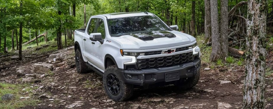 A 2024 Chevy Silverado 1500 ZR2 Bison sits in the woods.