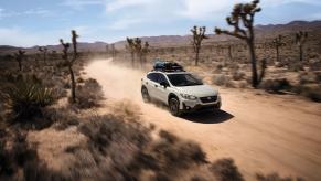 A 2023 Subaru Crosstrek Special Edition drives down a desert road with Joshua Trees and shrubs on either side.
