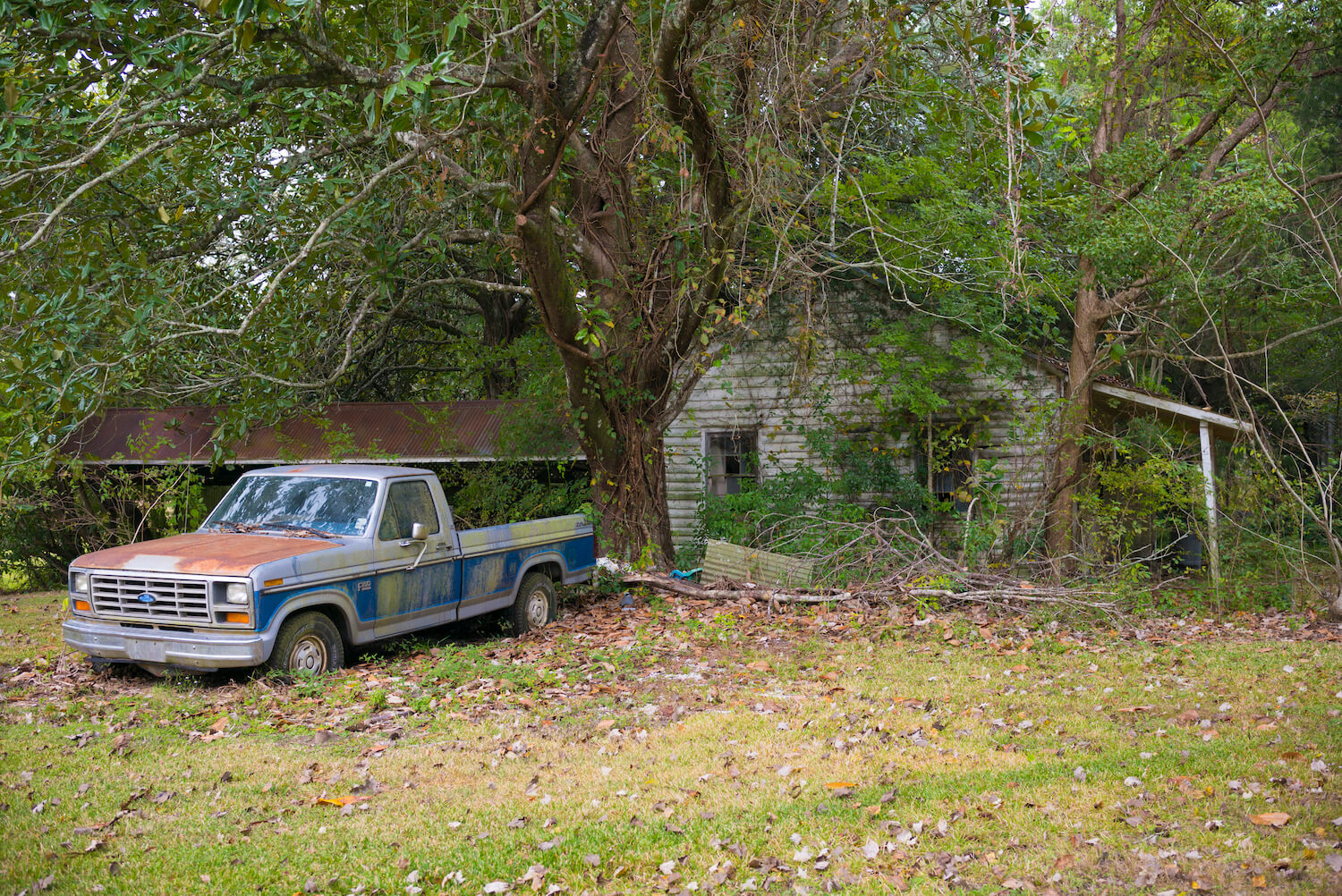 A Ford half-ton diesel pickup truck parked in front of a derelict shack, overgrown with trees.