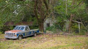 A Ford half-ton diesel pickup truck parked in front of a derelict shack, overgrown with trees.