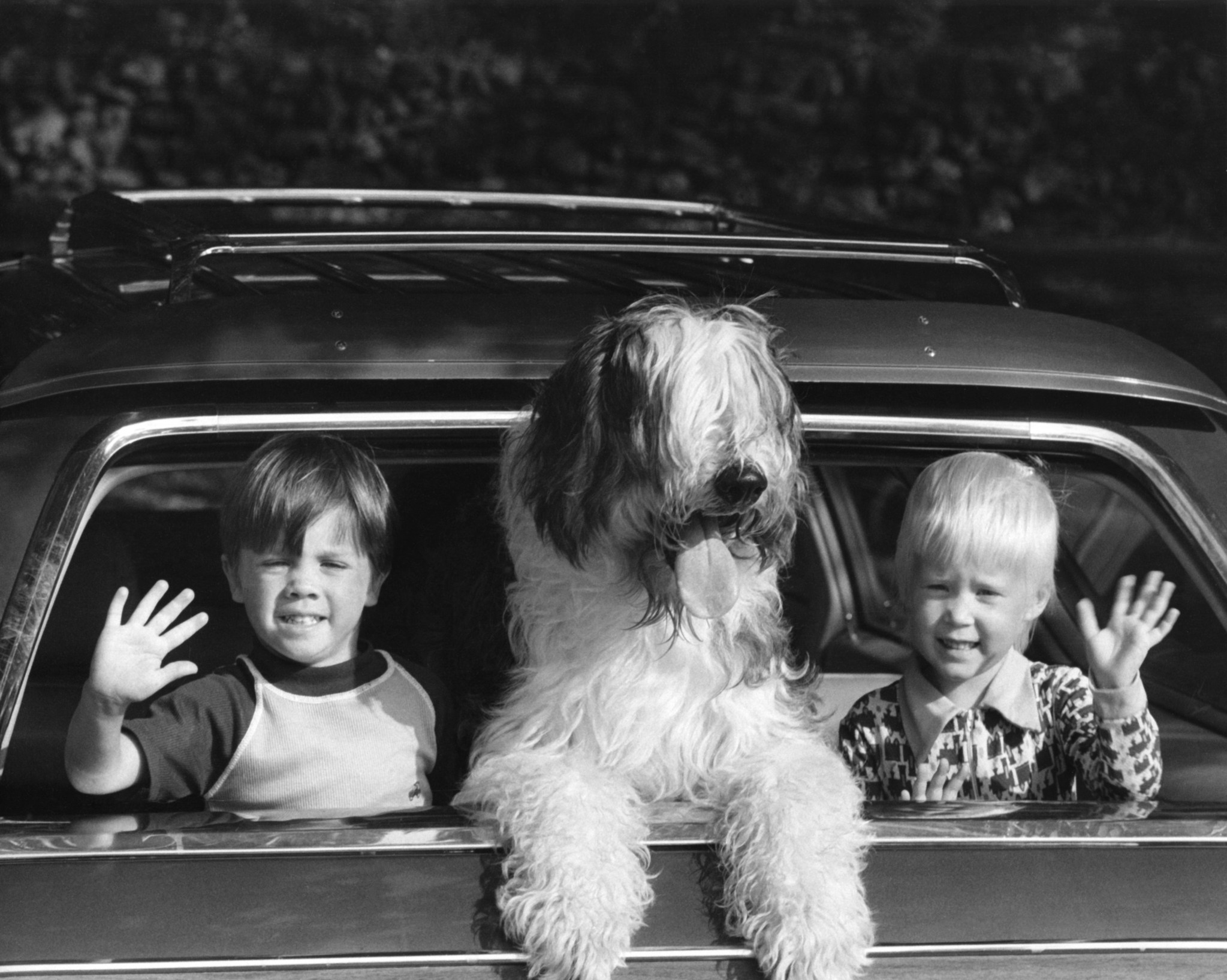 New Study The New Car Smell Is Actually Toxic
