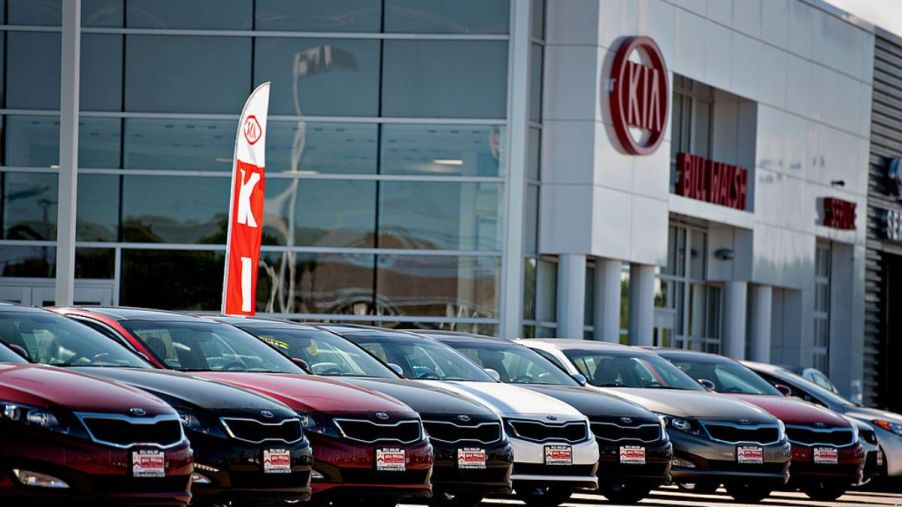 Used Kia cars lined up on display at a dealership.