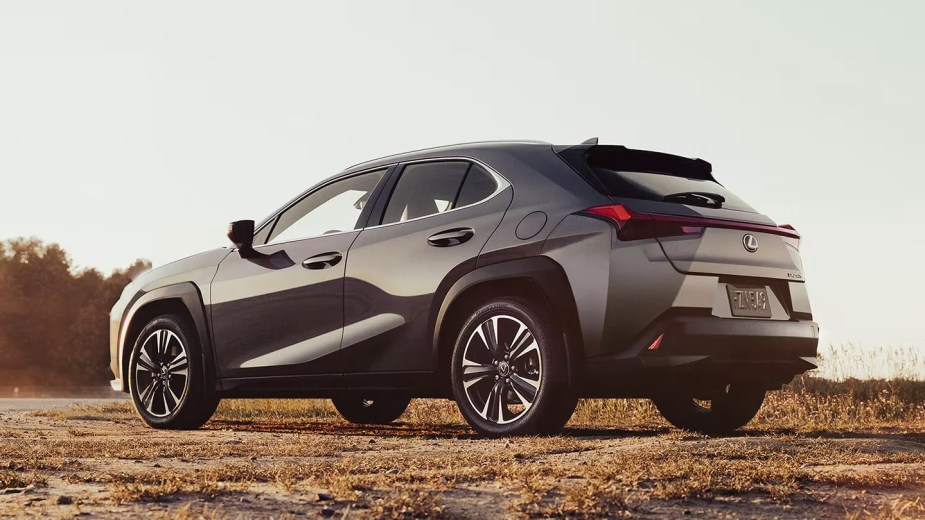 2023 Lexus UX from the rear 