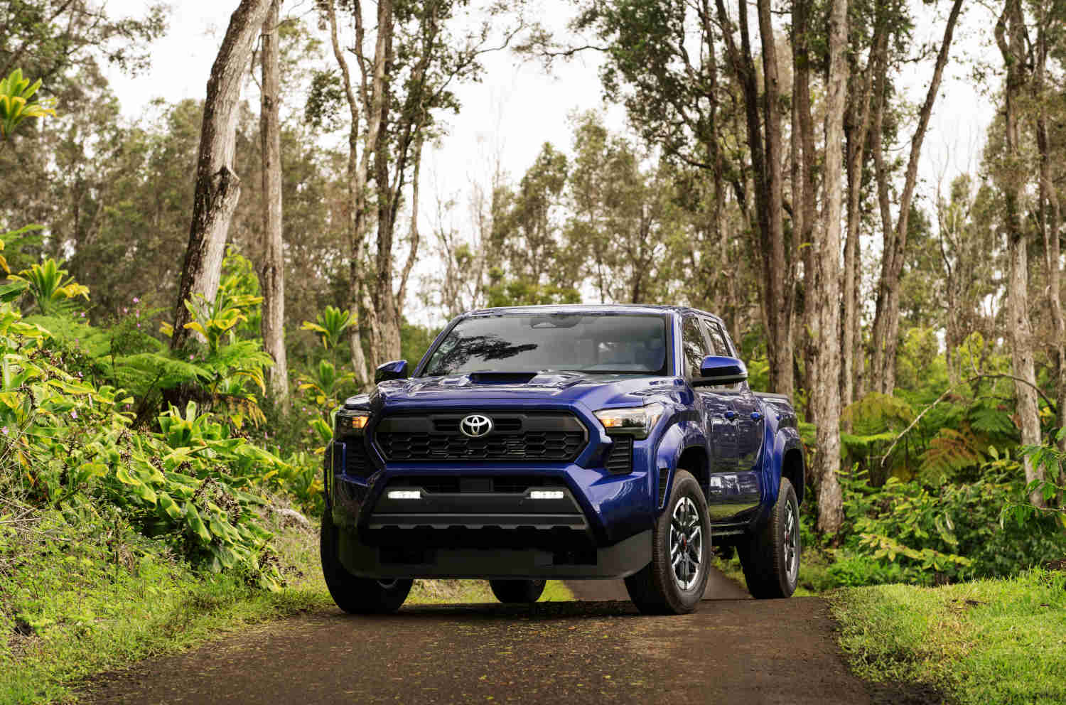 The 2024 Toyota Tacoma TRD Sport in blue