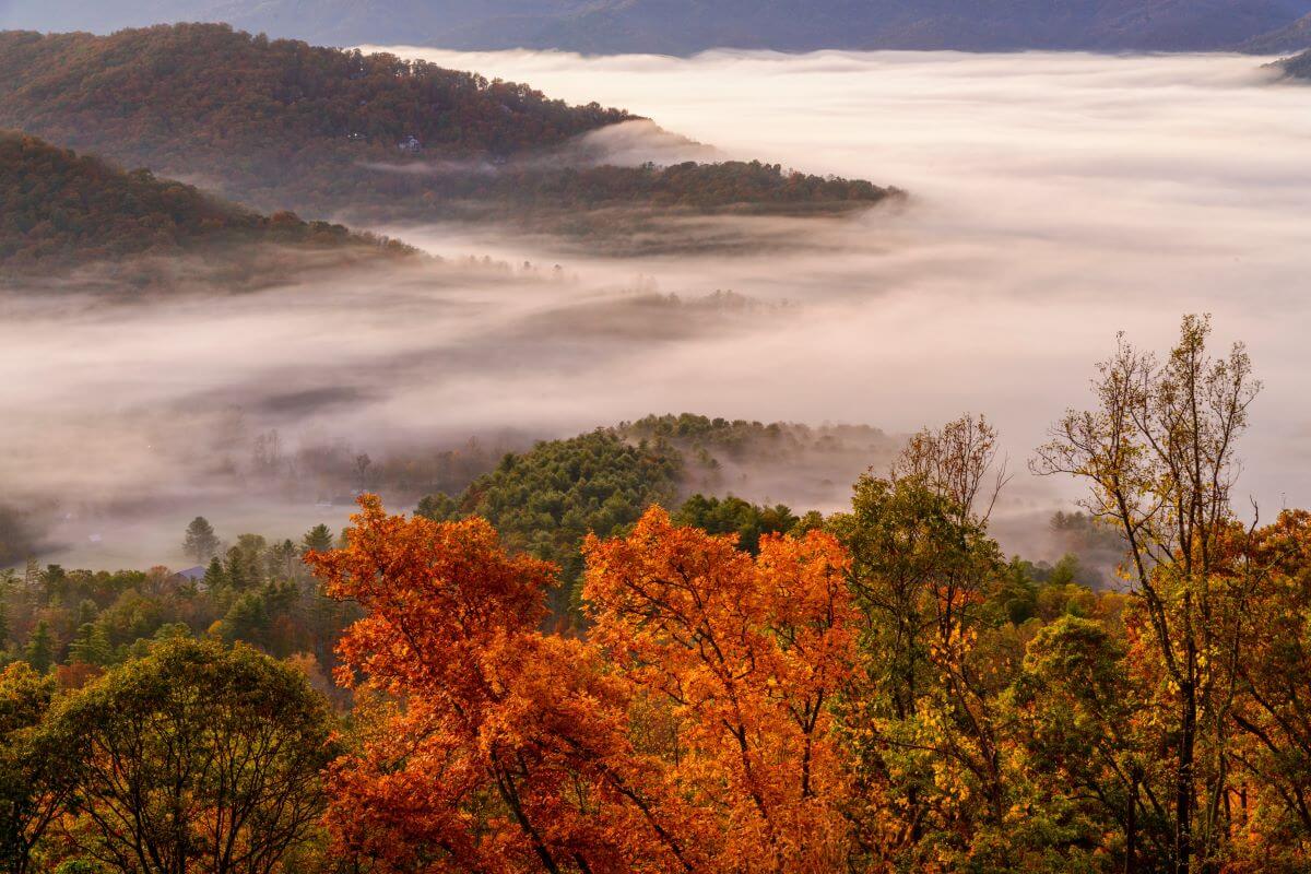 A shot of fog rolling over the forests of Blue Ridge Parkway near Asheville in the Appalachians of North Carolinia
