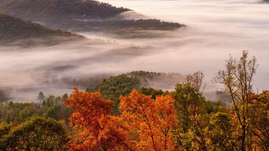 A shot of fog rolling over the forests of Blue Ridge Parkway near Asheville in the Appalachians of North Carolinia
