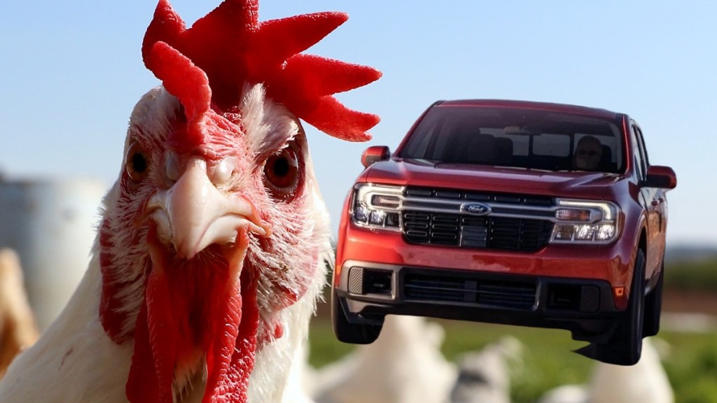 Chicken and red 2023 Ford Maverick, showing Chicken Tax is why no small pickup trucks in America
