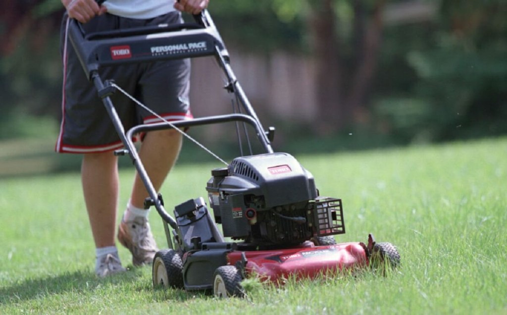 A lawn mower with a carburetor instead of EFI mows a lawn. 