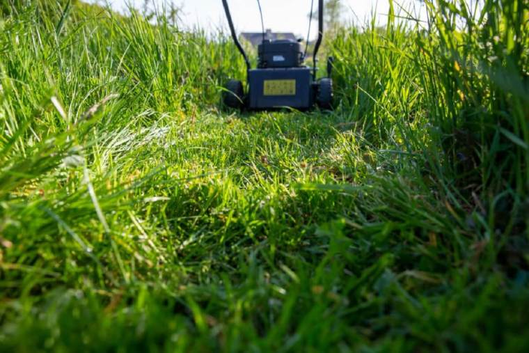 Can You Mow Wet Grass? You Might Want To Wait