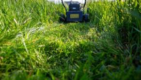 A lawn mower sits in tall grass after mowing a short distance.