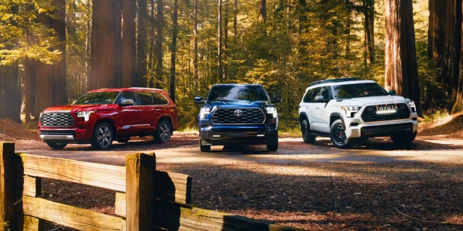 Three Toyota Sequoia full-size SUVs are parked. 