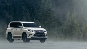 A white Lexus GX, a popular luxury SUV, sits in front a misty forest.