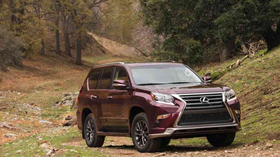 1 Affordable Used Lexus SUV Has a Good Reliability Score but Was Ranked