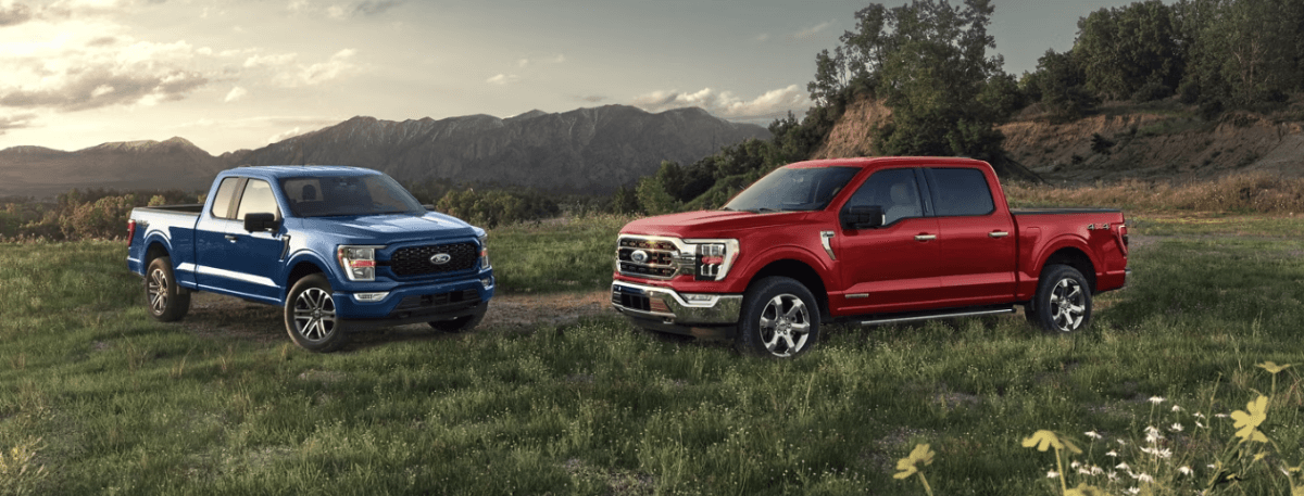 Blue and red 2022 Ford F-150 full-size pickup truck models parked in a field of grass near a mountain range