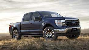The 2023 Ford F-150 in a grassy field