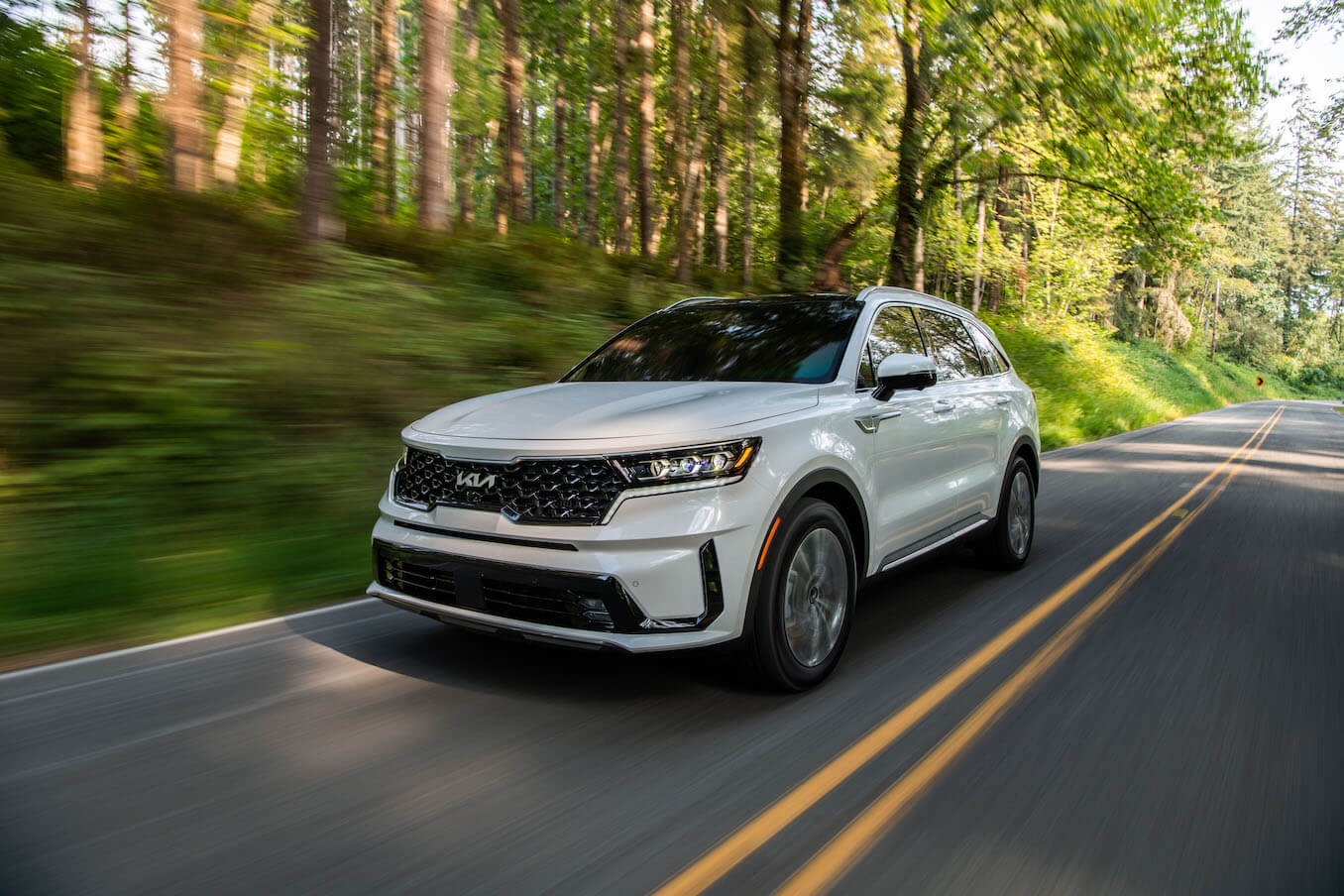 The most expensive Kia model, the 2023 Kia Sorento PHEV in white, driving along a forest road.