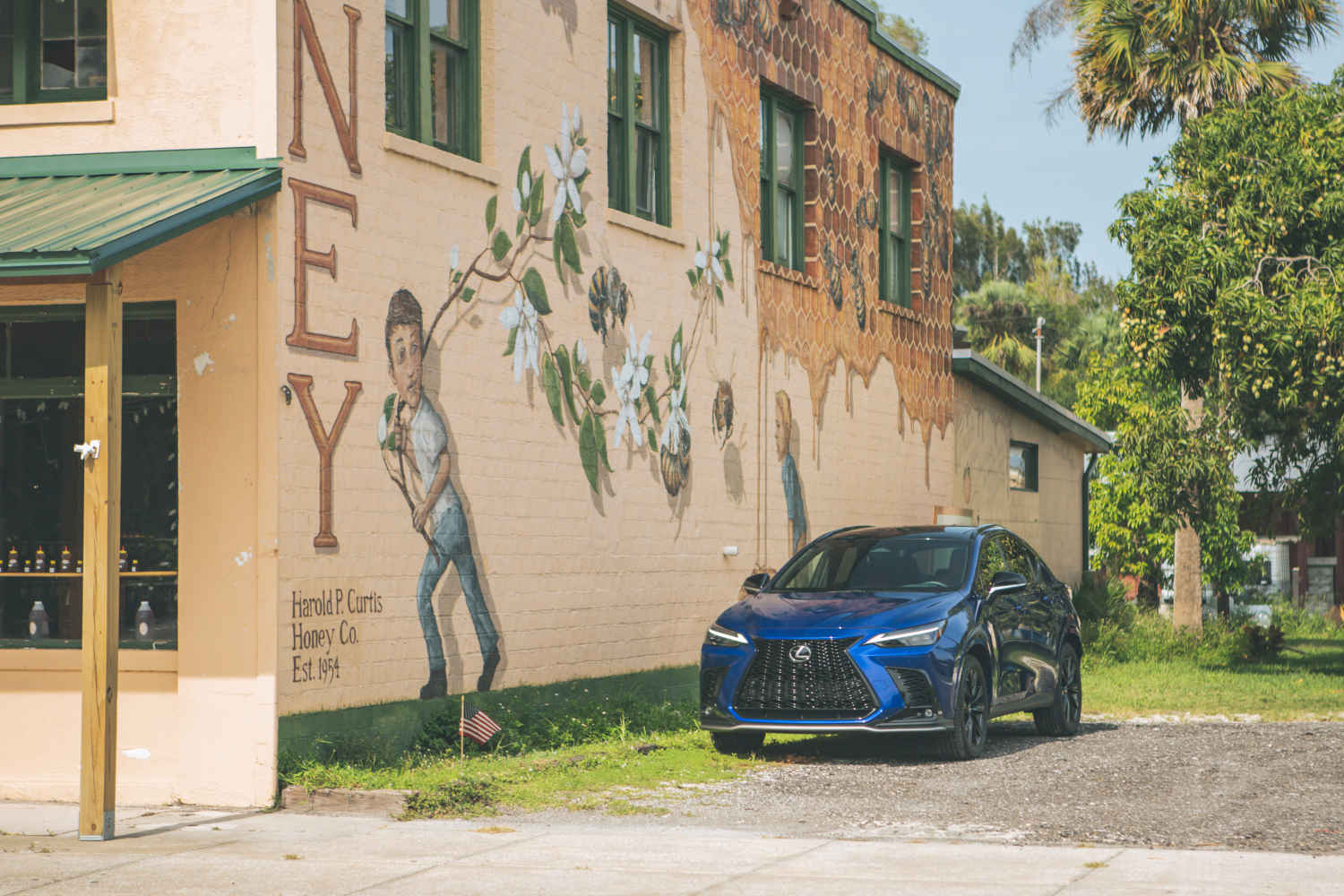 Lexus NX F Sport in front of a building