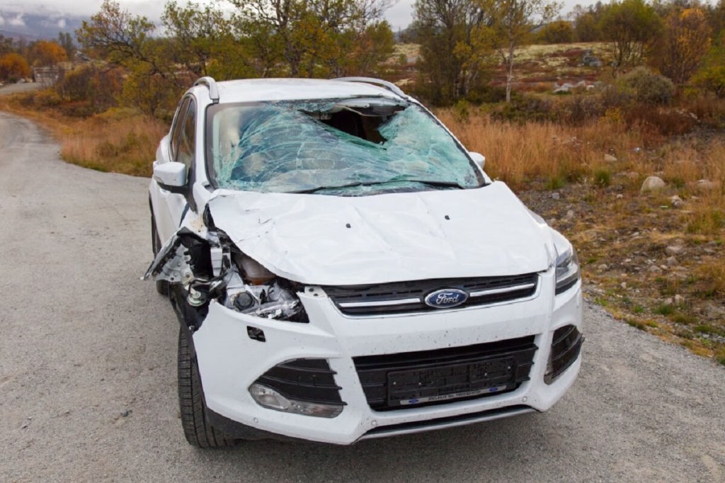 A white Ford Escape is damaged beyond salvage after a roadkill accident.
