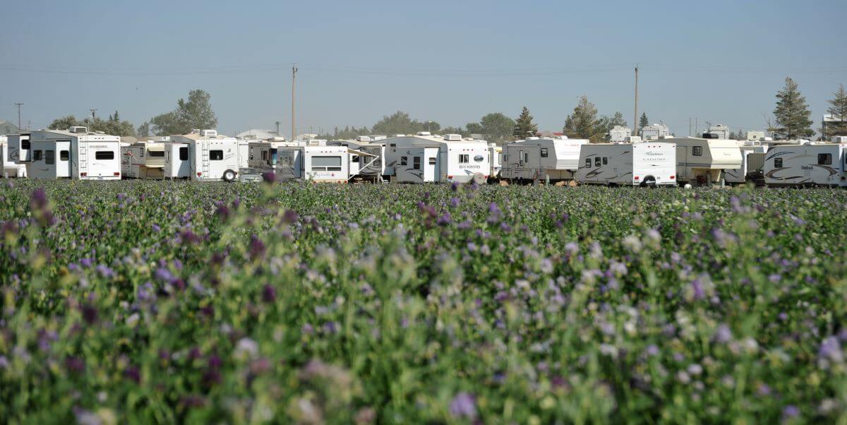 A mancamp of RV campers models in Tioga, North Dakota due to economic oil booms.