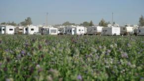 A mancamp of RV campers models in Tioga, North Dakota due to economic oil booms.