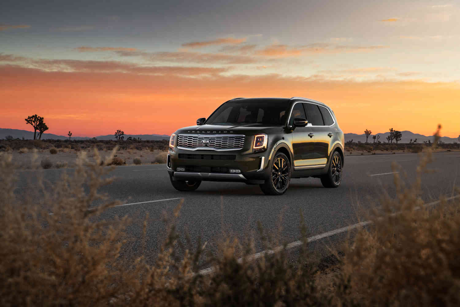 The first Kia Telluride from 2020