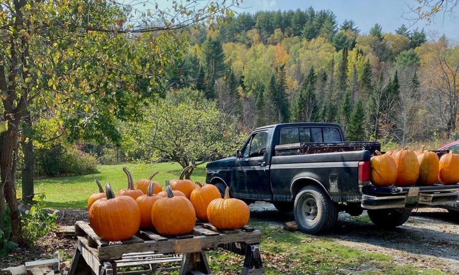Black 1988 Ford F-150 XLT Lariat with a regular cab and short bed, its bed full of pumpkins, the mountains of Vermont covered in fall foliage visible in the background.
