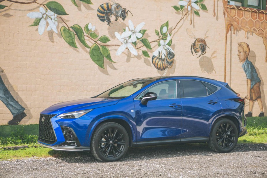 The best Lexus SUVs include this 2023 NX 350