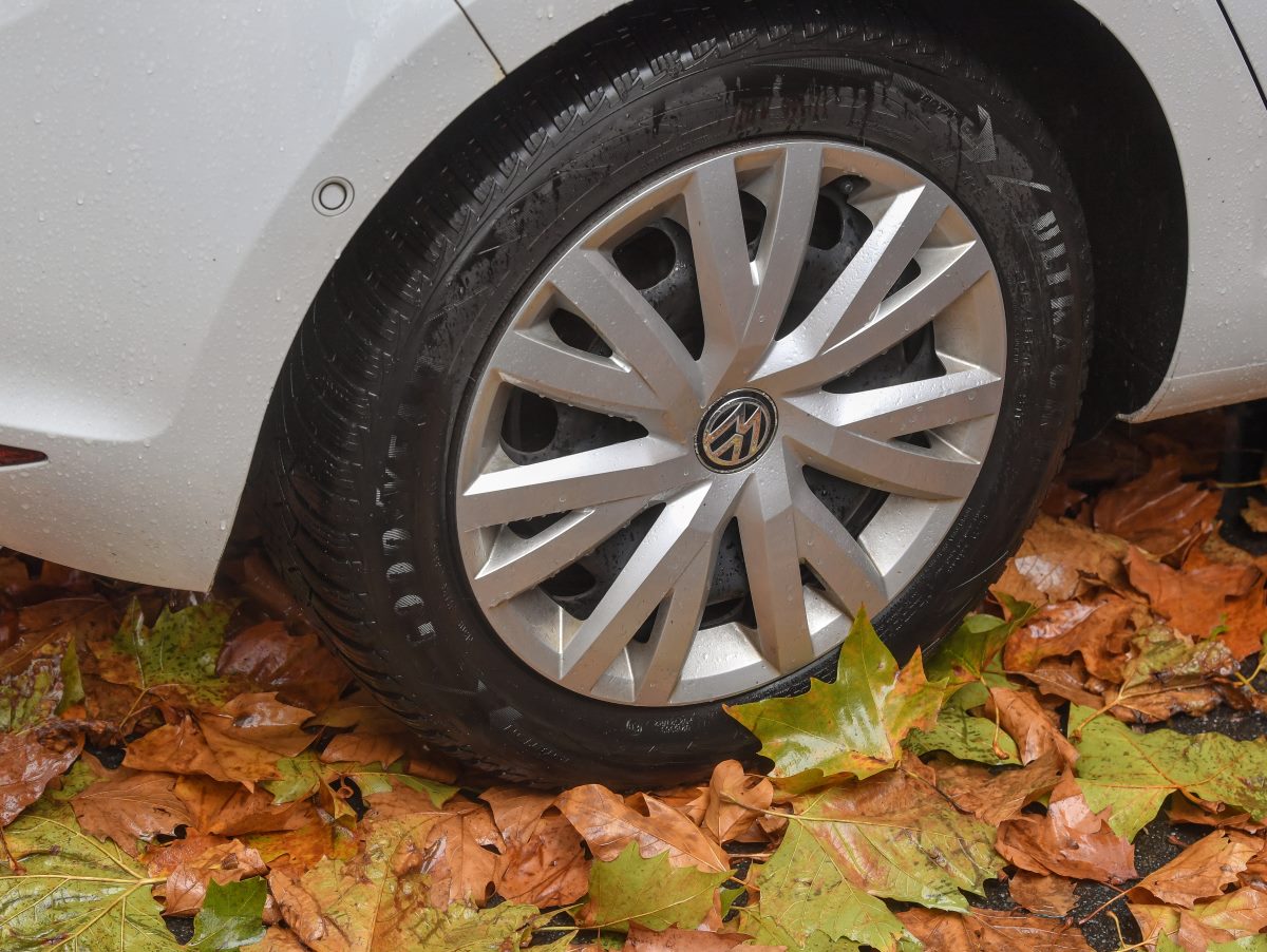 A tire on wet leaves while driving in the rain