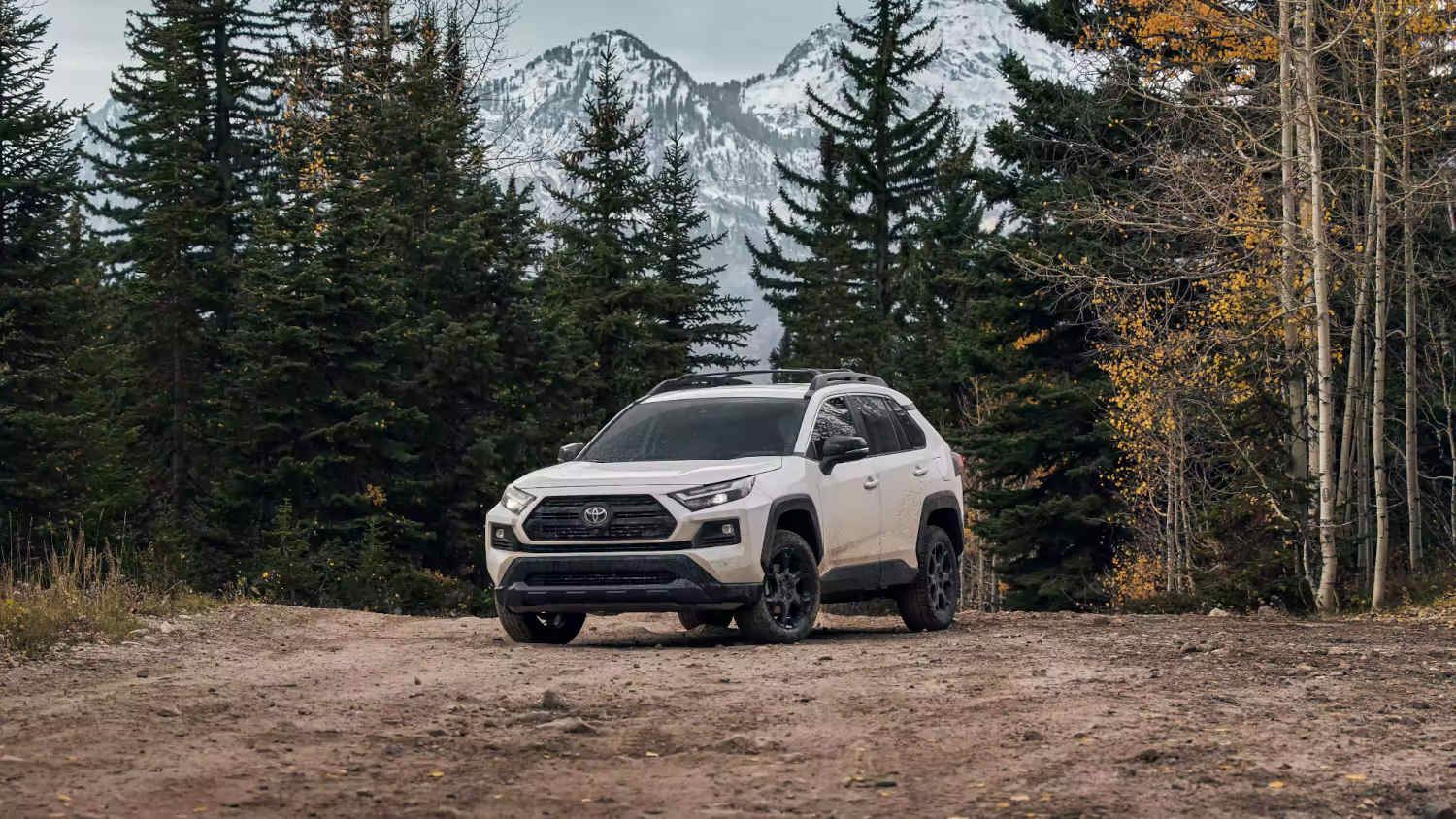 The best small SUV used to be the 2023 Toyota RAV4
