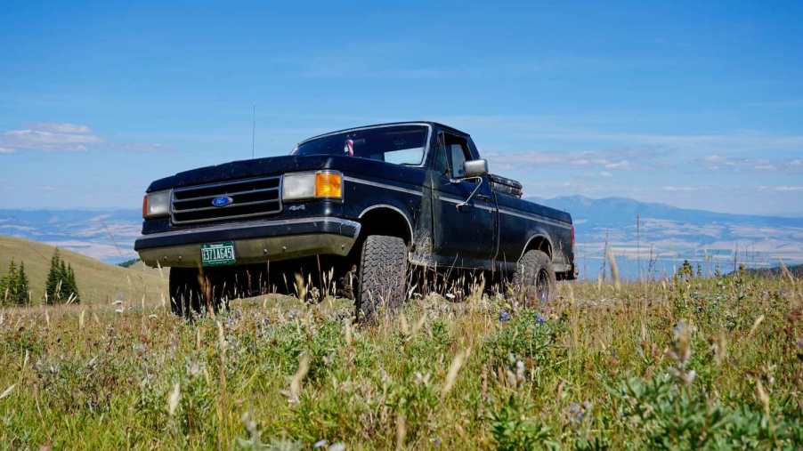 Black Ford F-150 parked in a field, a mountain range in the background.