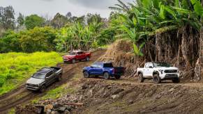 2024 Toyota Tacoma models parked on a hillside on the Big Island of Hawaii