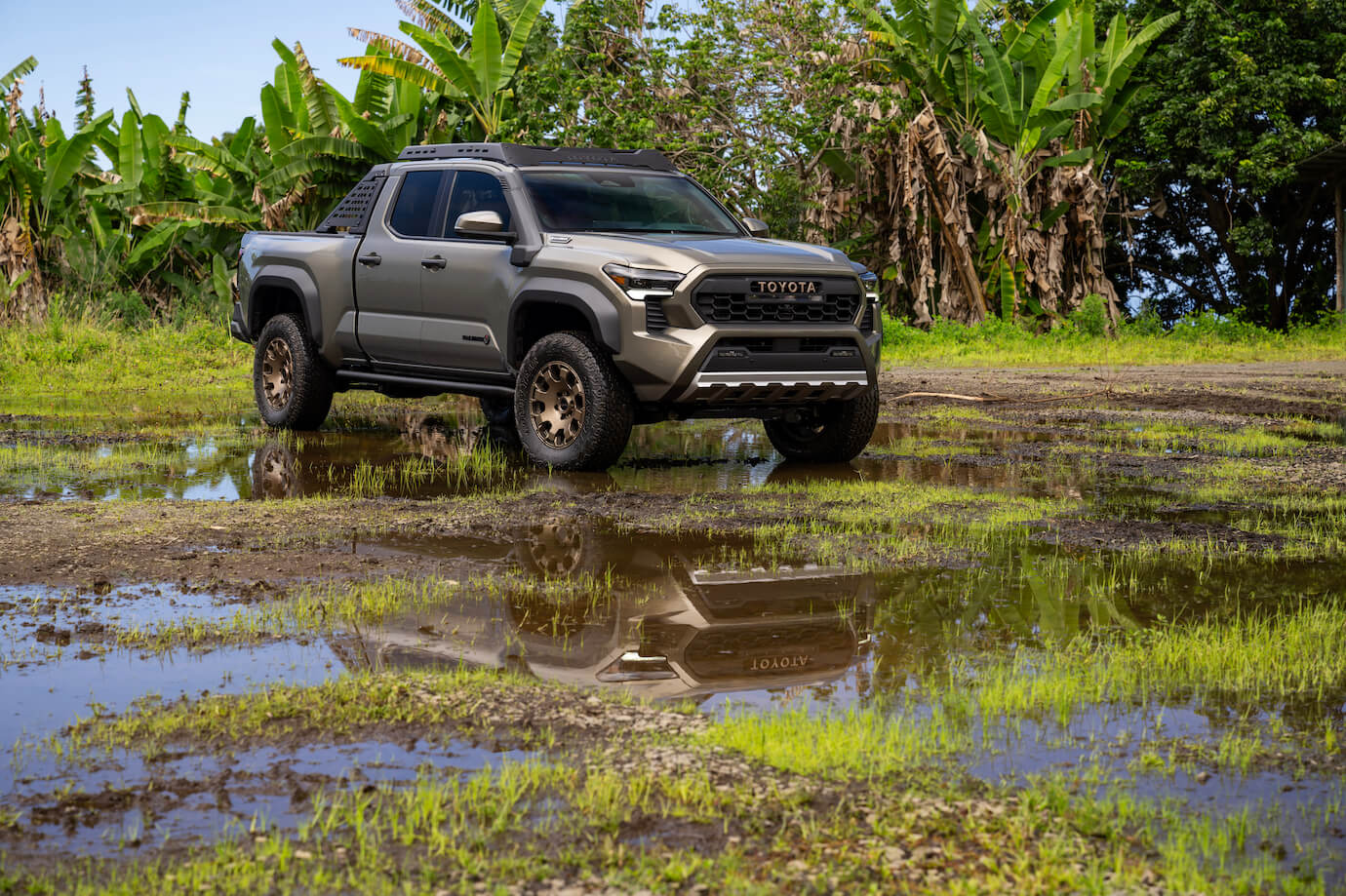 Gray 2024 Toyota Tacoma on a rain-filled grassland with trees in the back. The 2024 Tacoma is a continuation of a beloved truck.