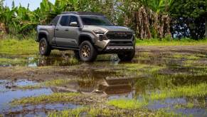Gray 2024 Toyota Tacoma on a rain-filled grassland with trees in the back. The 2024 Tacoma is a continuation of a beloved truck.