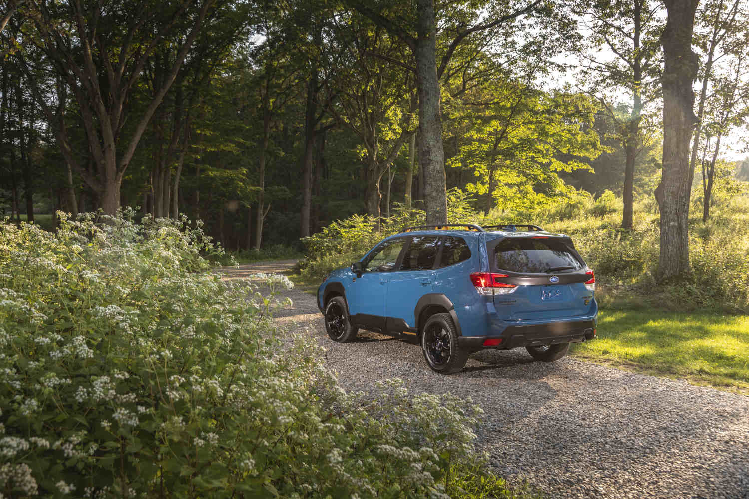 This 2023 Subaru Forester is a great compact SUV for students.