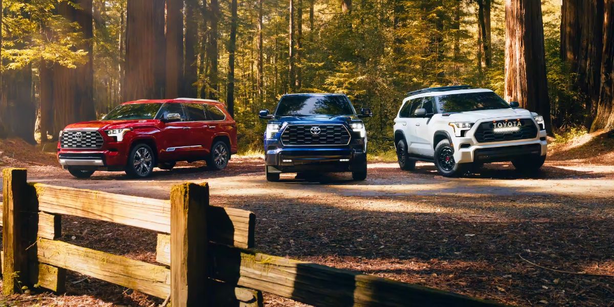 Three 2023 Toyota Sequoia full-size SUVs are parked outdoors.