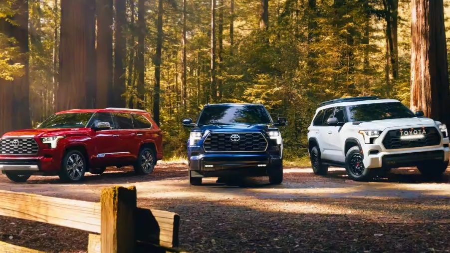Three Toyota Sequoia full-size SUVs are parked outdoors.