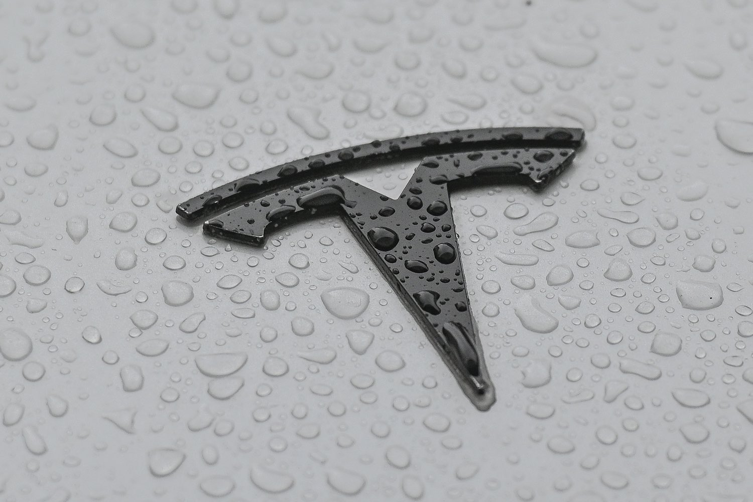 The black logo on a silver used Tesla electric car parked in the rain.