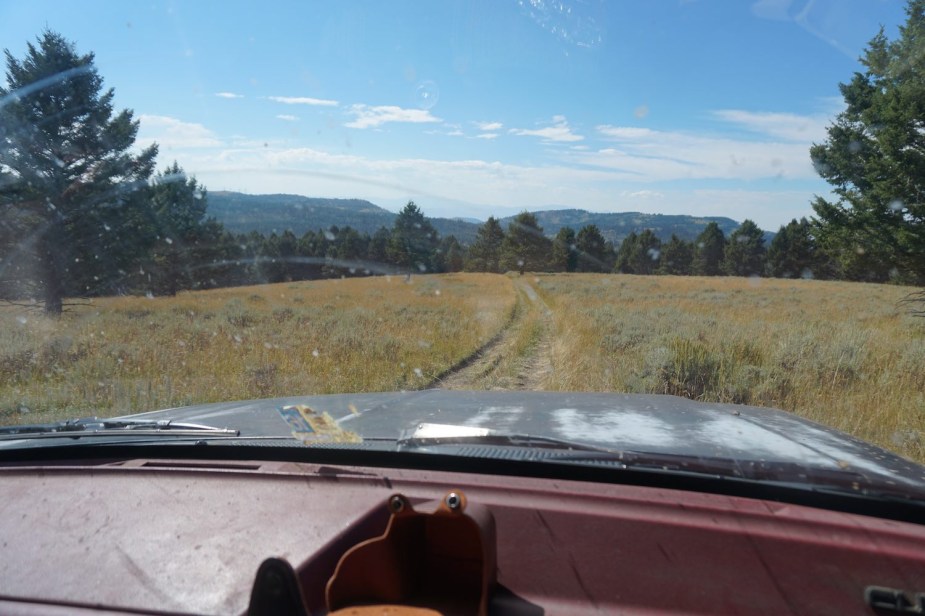 Off-roading vehicle use trail in a National Forest with a dashboard in the foreground.