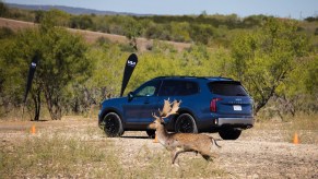 A blue 2023 Kia Telluride rear shot in front of some wildlife. The Kia Telluride and Palisade both share some things in common.