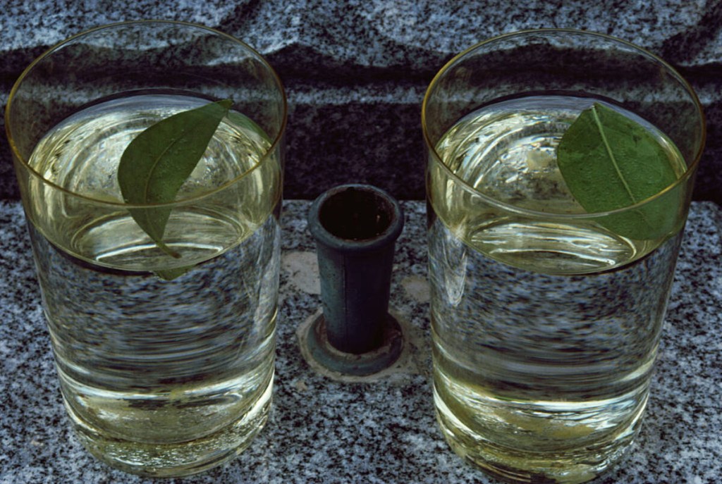 Two glasses with water and floating leafs