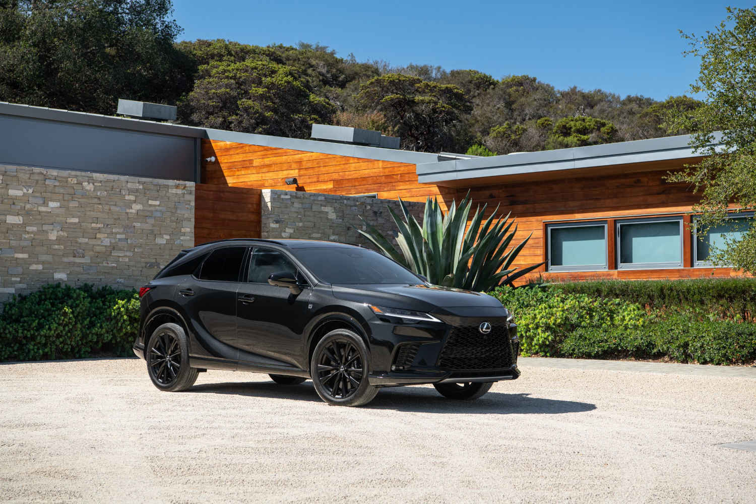 The 2024 LEXUS RX 500h F SPORT PERFORMANCE in front of a modern building