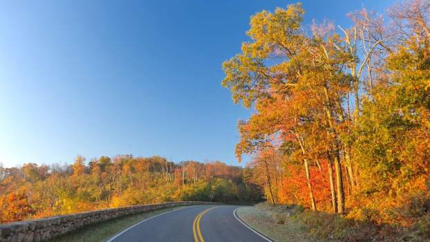 Virginia Is the Unlucky State With 3 of the Most Haunted Roads
