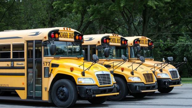 Why Don’t School Buses Have Seat Belts? The Reason Might Surprise You