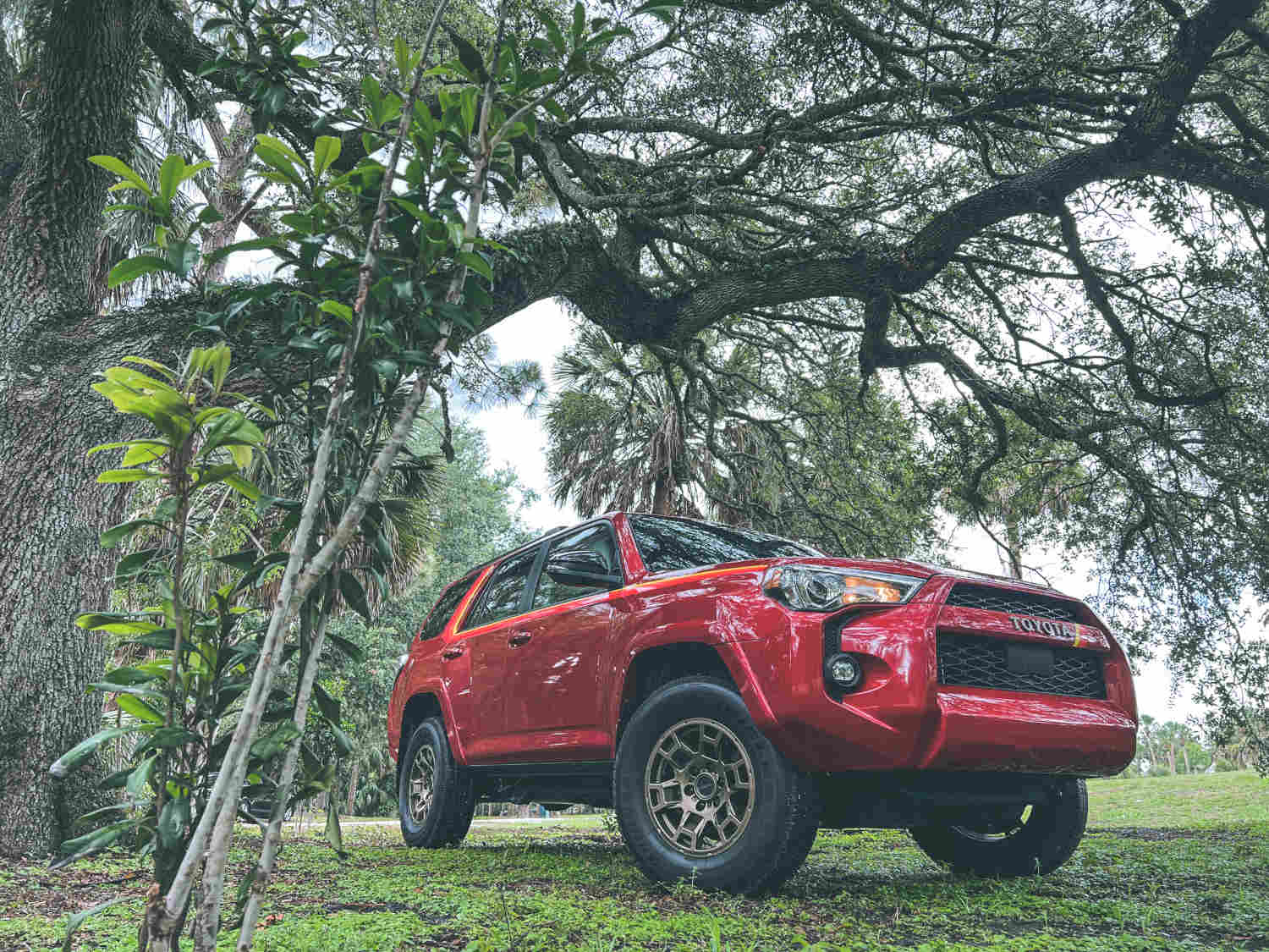 The Toyota 4Runner in the grass