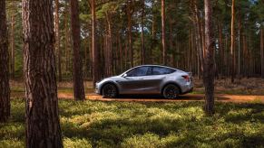 A gray 2023 Tesla Model Y small electric SUV is driving off-road.