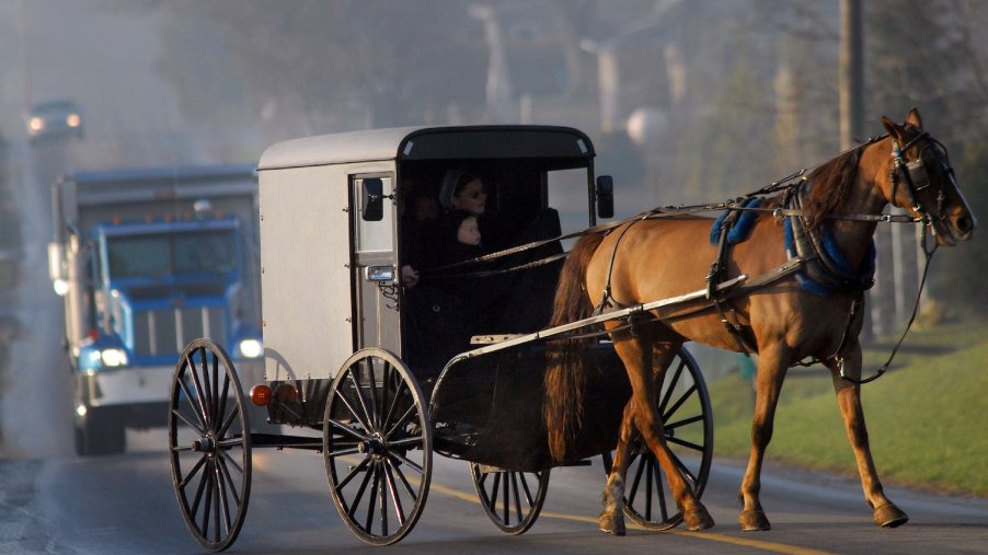 An Amish family in a buggy drive in front of a farm dump truck, fog in the background.
